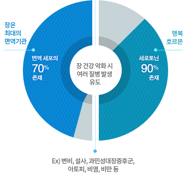 표 이미지