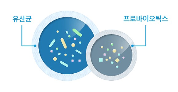 세균 이미지2